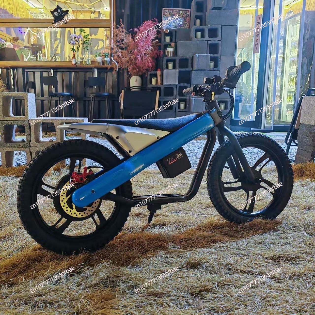 16 Inch Kids Electric Balance  - đánh giá và giá Balance Bike Kids